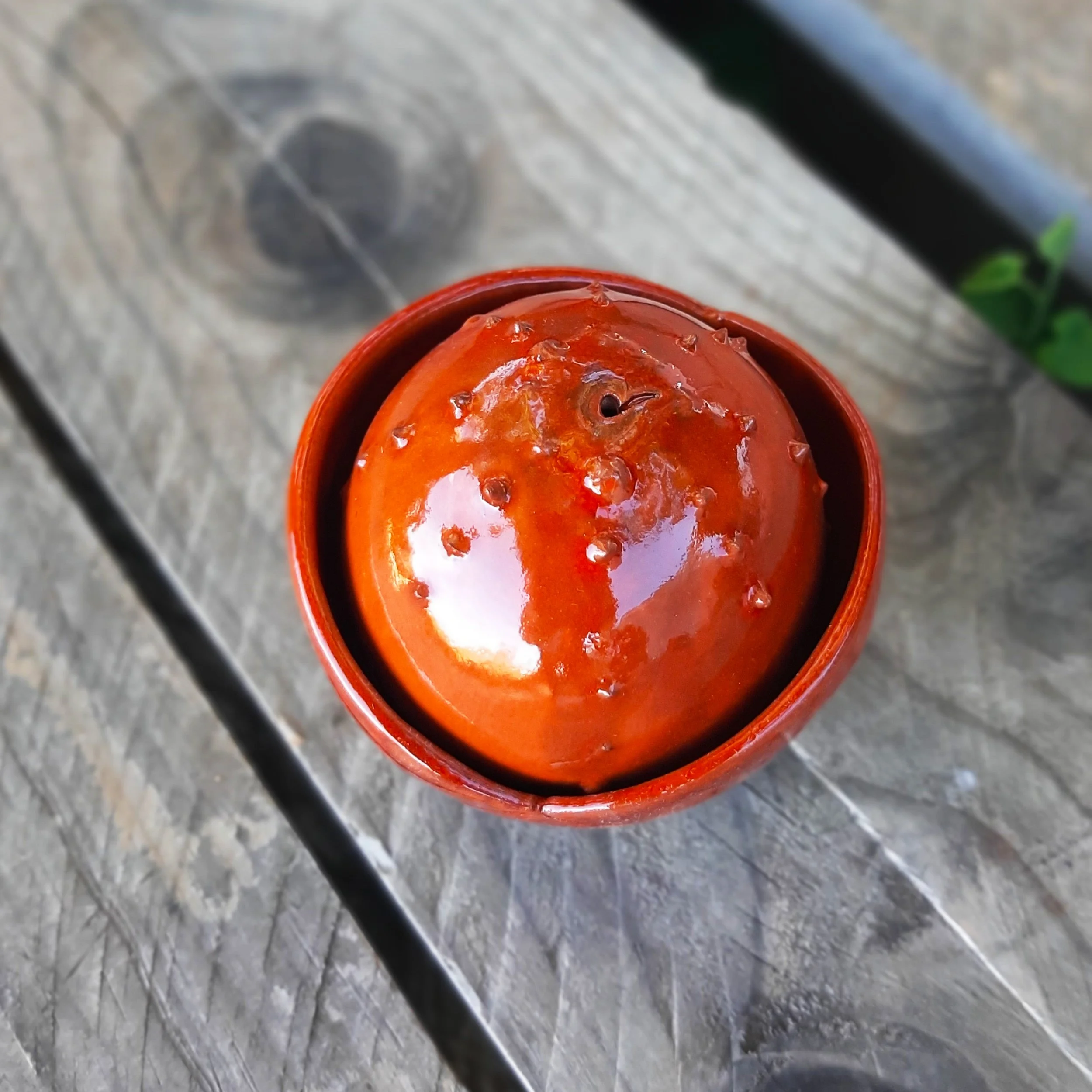 PE orange papaya 6.jpg