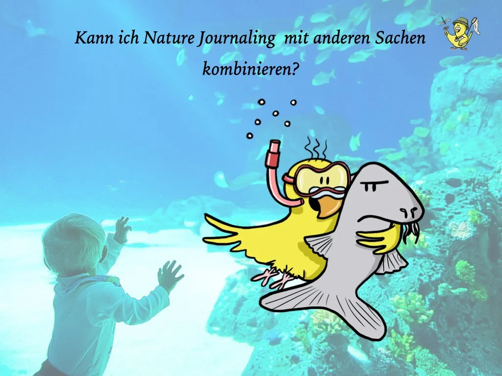 VHS Vortrag Nature Journaling länger.018.jpeg
