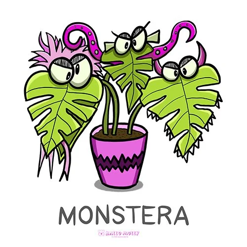 Monstera.jpg