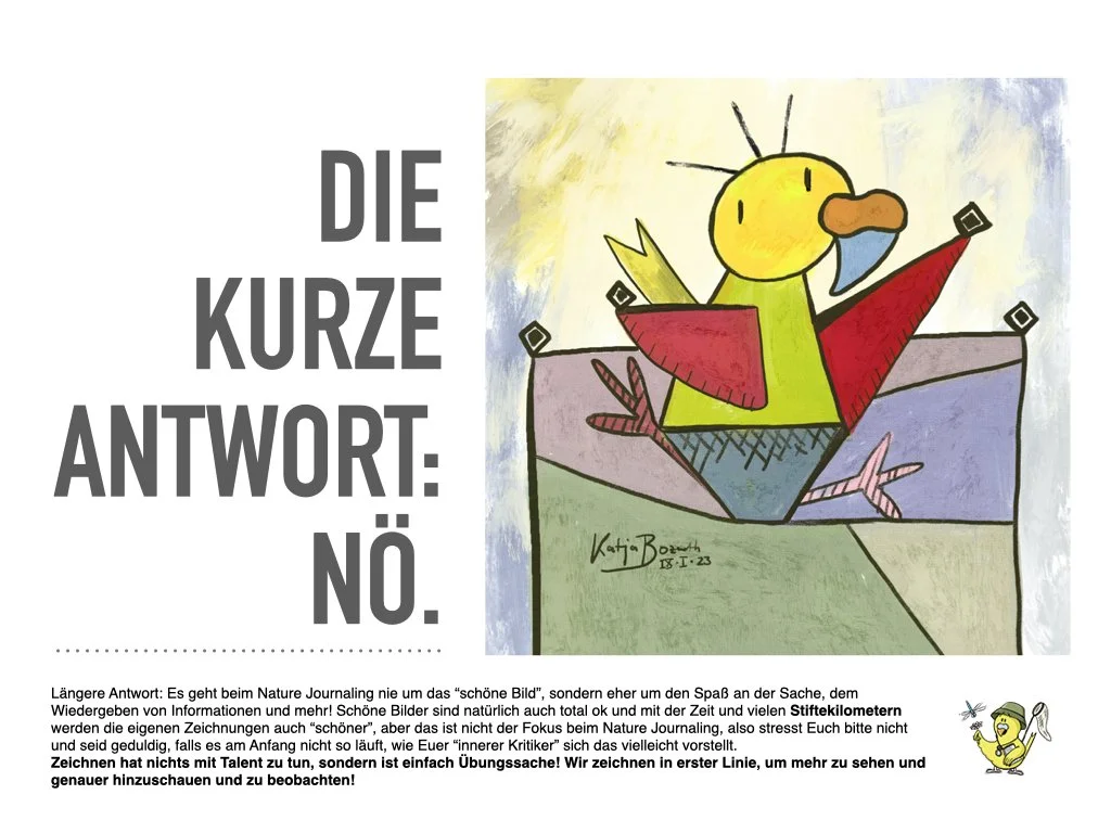 VHS Vortrag Nature Journaling länger.017.jpeg