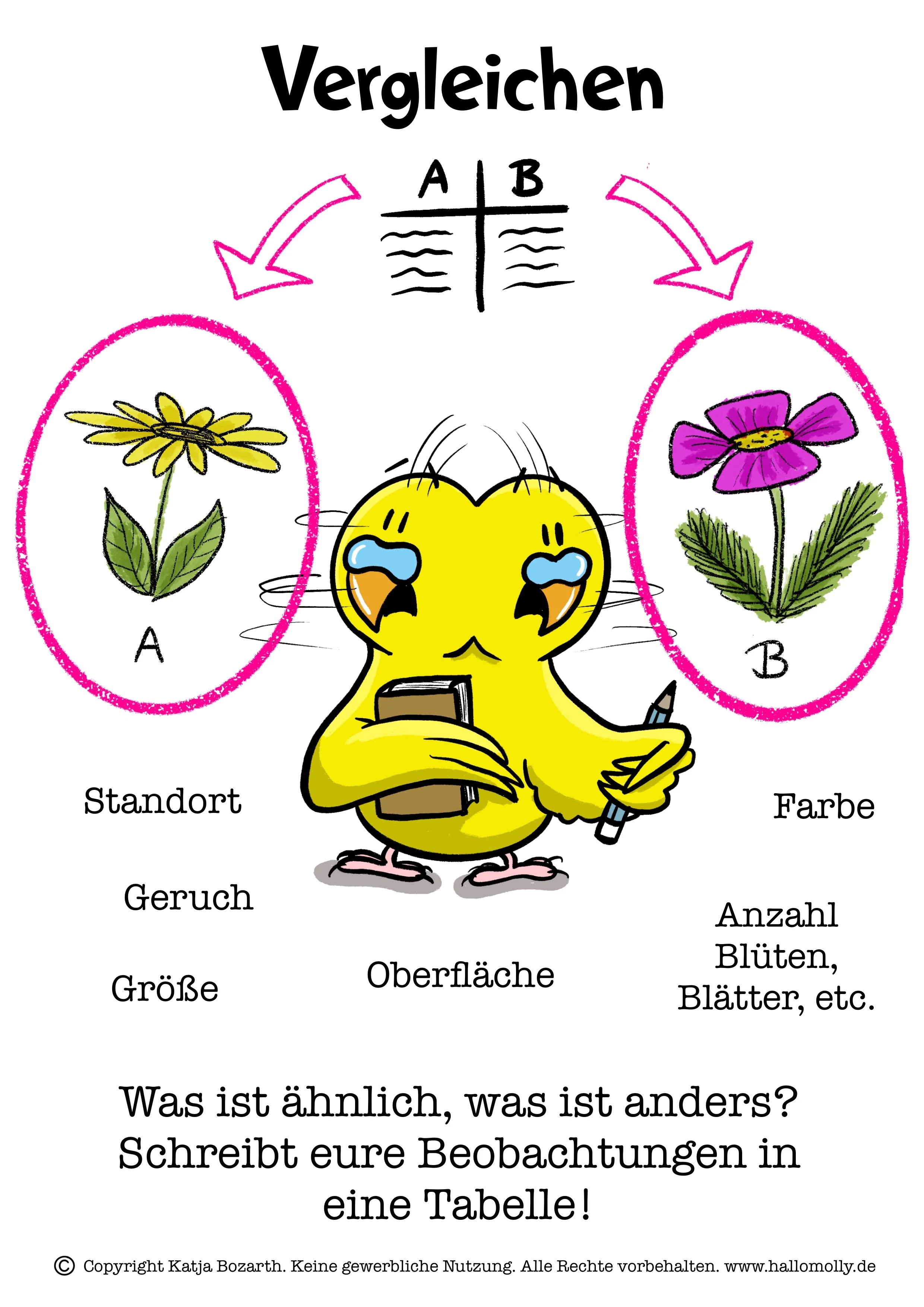 Vergleichen_Handout mit Copyright.jpg