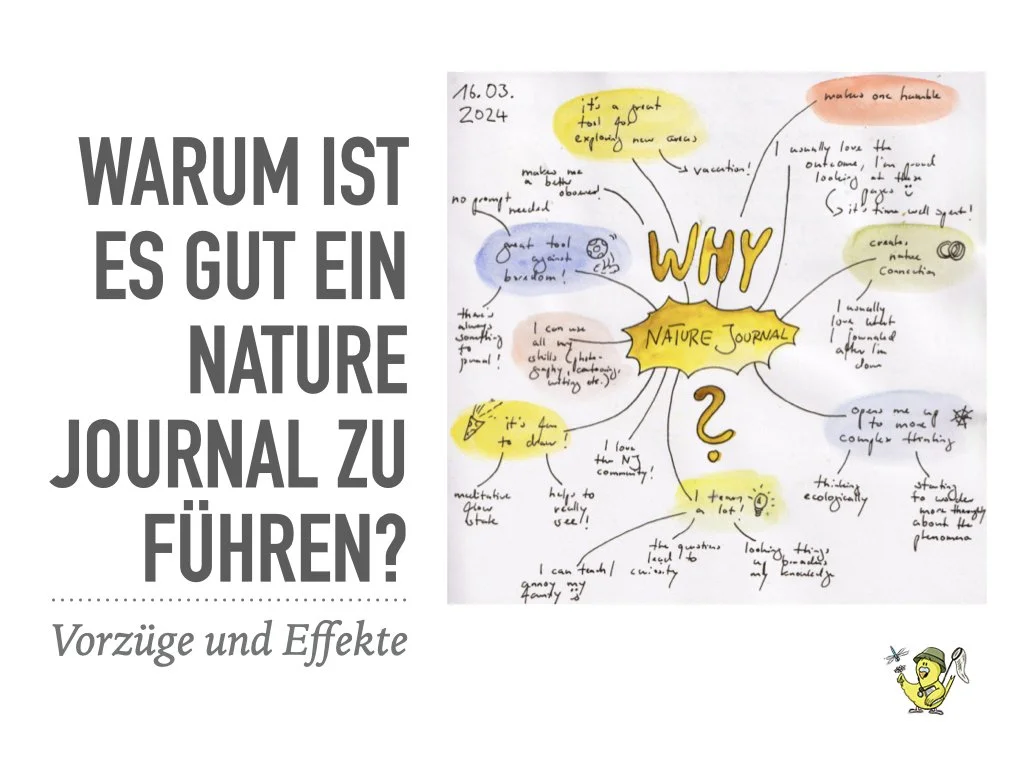 VHS Vortrag Nature Journaling.010.jpeg