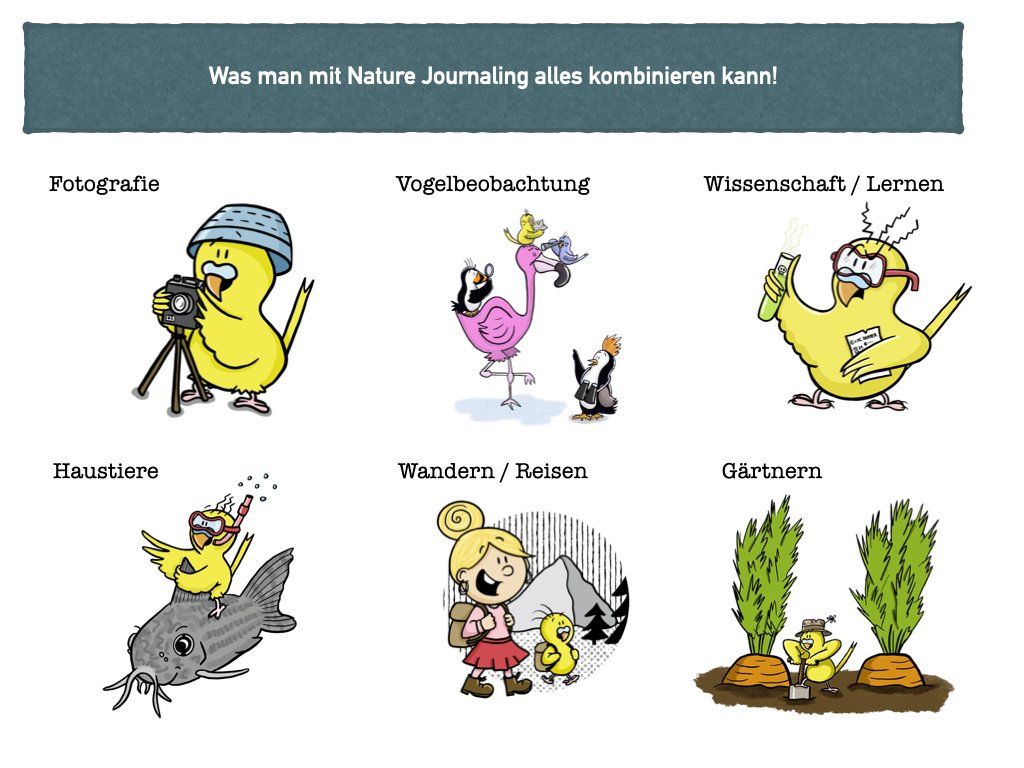 VHS Vortrag Nature Journaling.015.jpeg