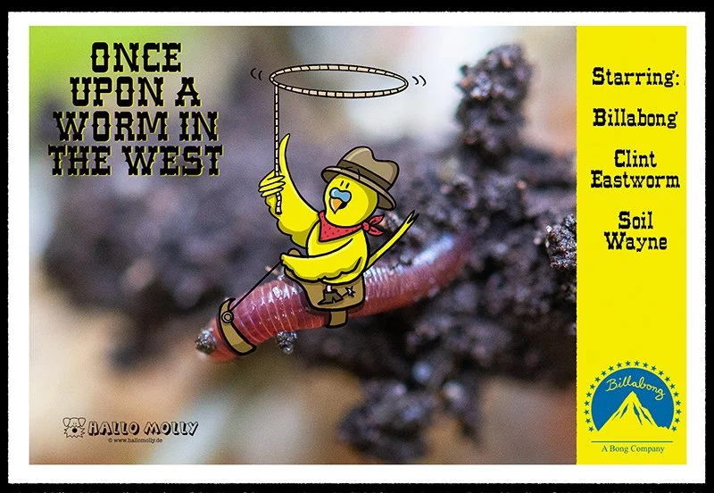 Once_upon_a_worm_in_the_west.jpg