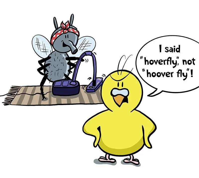 Hoverfly.jpg