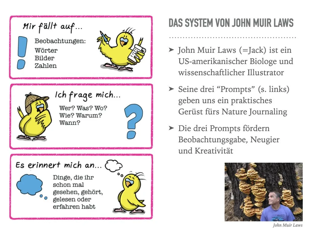 VHS Vortrag Nature Journaling.008.jpeg