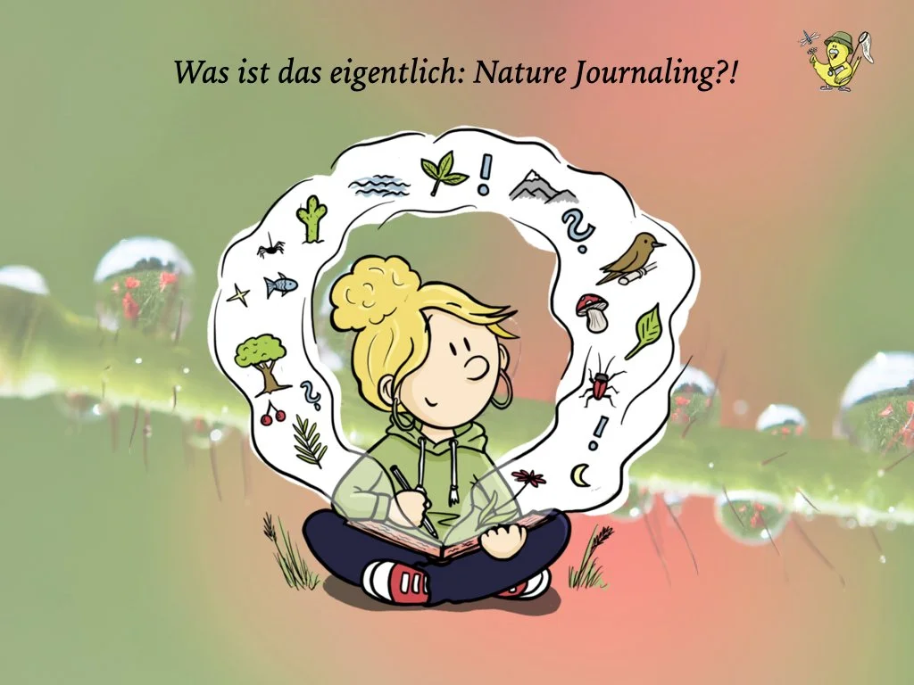 VHS Vortrag Nature Journaling.002.jpeg