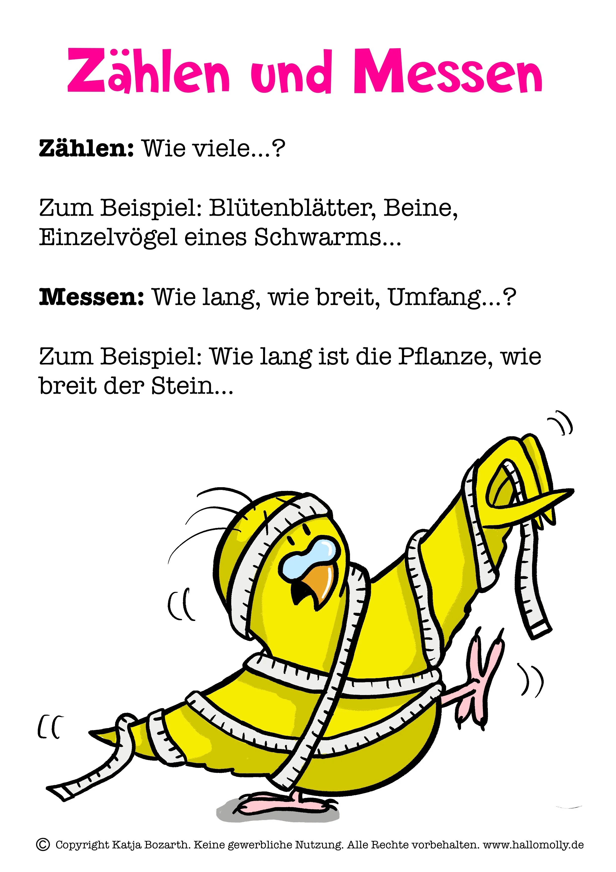 Zählen_und_Messen_Handout mit Copyright.jpg