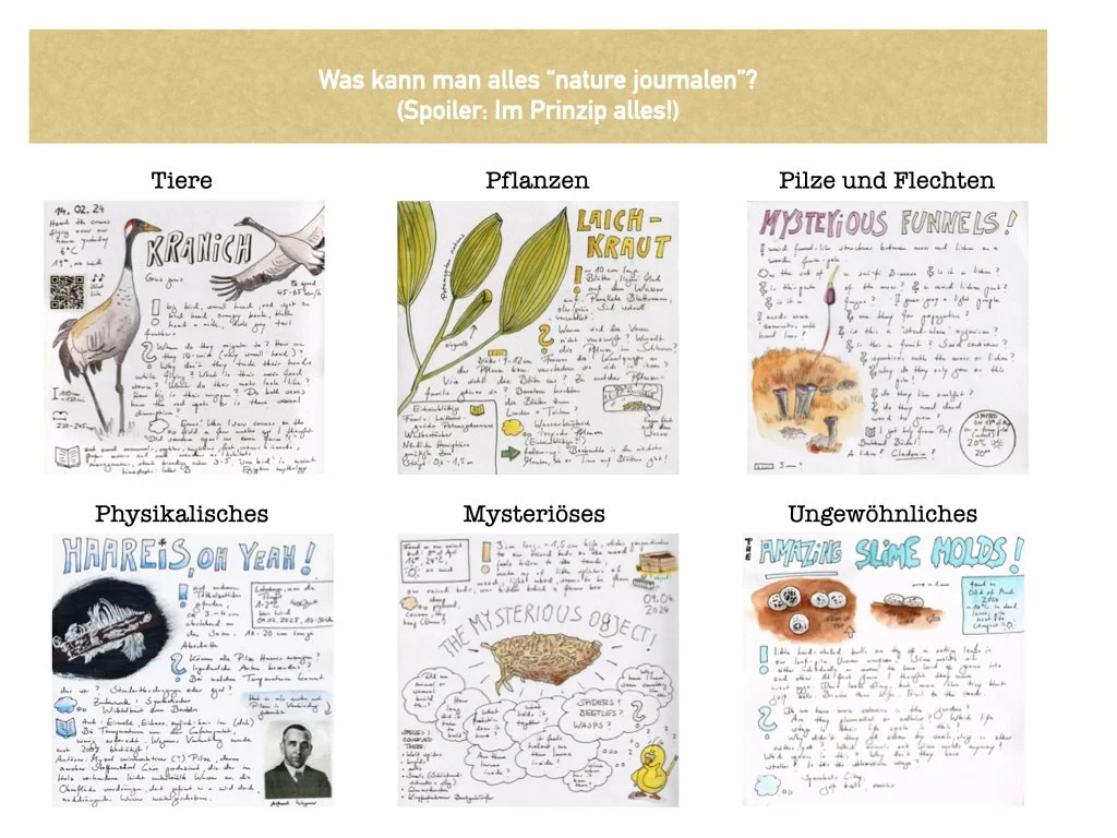 VHS Vortrag Nature Journaling.013.jpeg