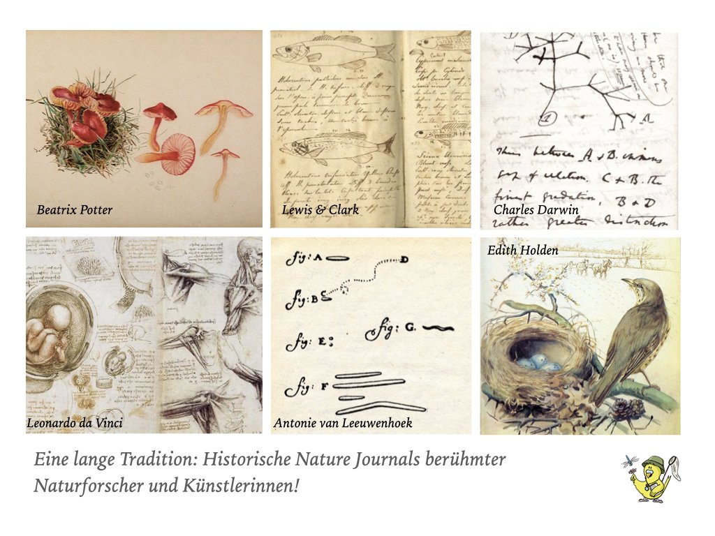 VHS Vortrag Nature Journaling.005.jpeg