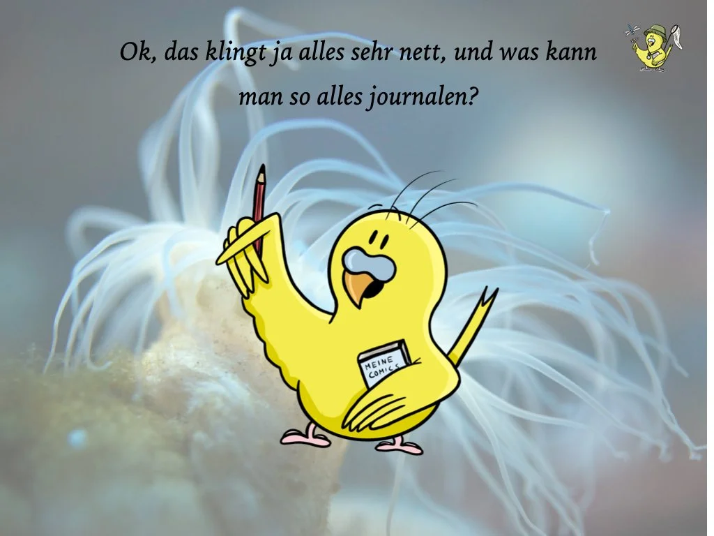 VHS Vortrag Nature Journaling länger.013.jpeg