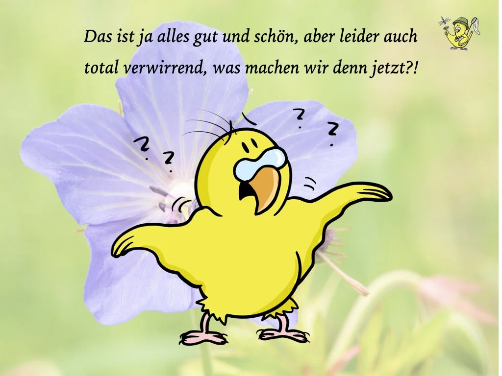 VHS Vortrag Nature Journaling.007.jpeg