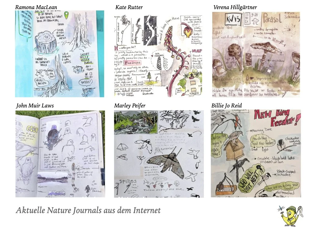 VHS Vortrag Nature Journaling.006.jpeg