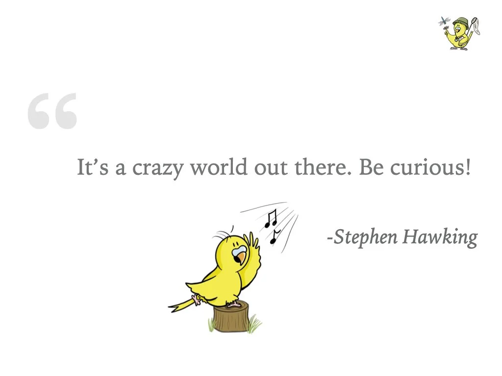 VHS Vortrag Nature Journaling.017.jpeg