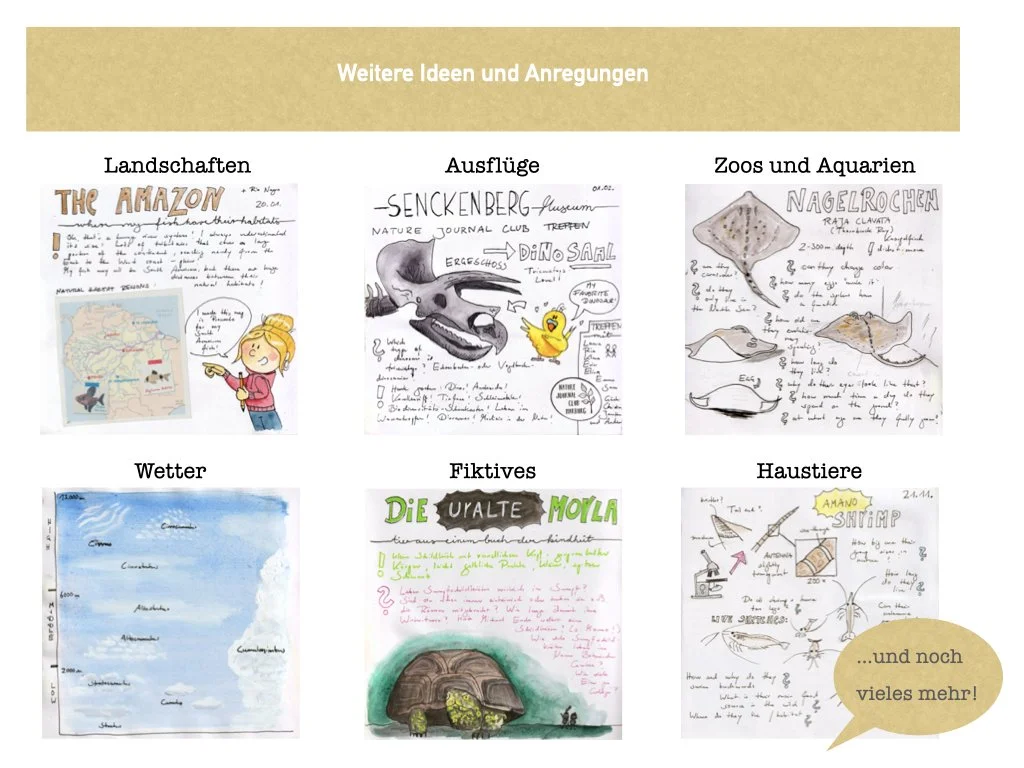 VHS Vortrag Nature Journaling.014.jpeg