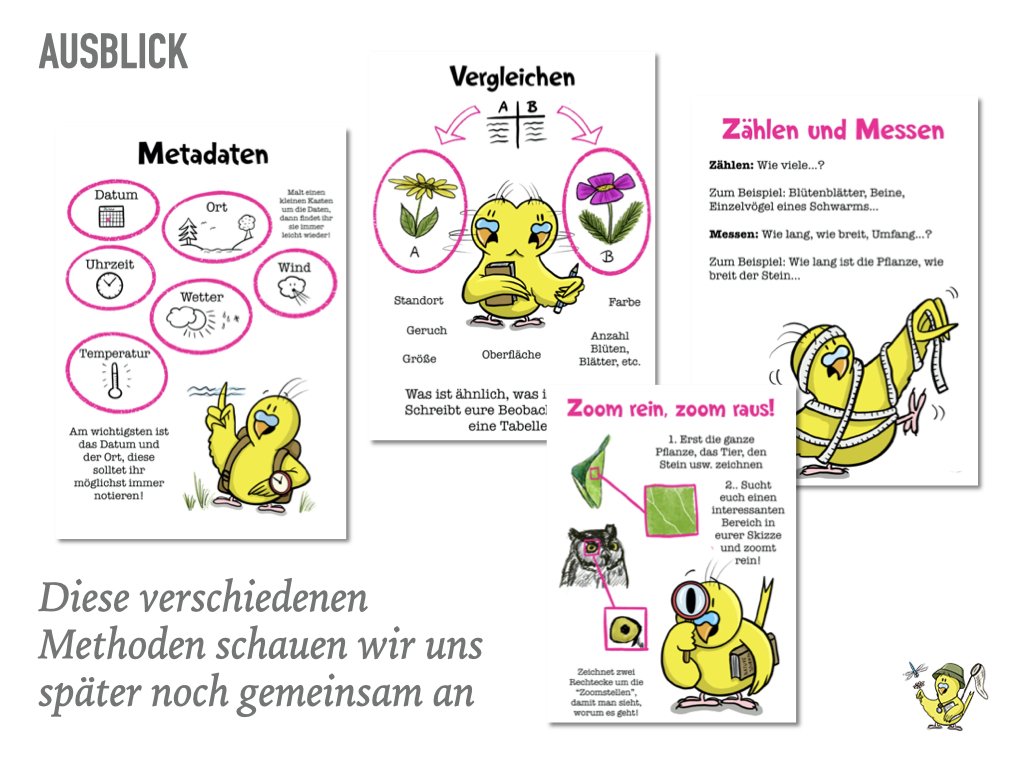 VHS Vortrag Nature Journaling.018.jpeg