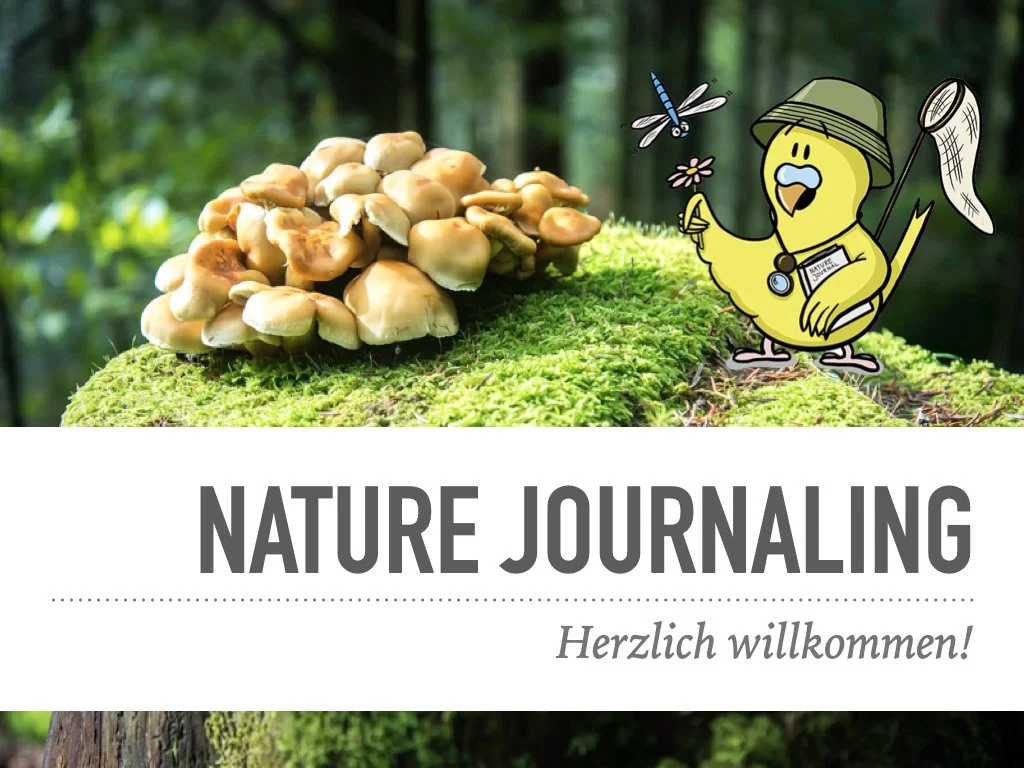 VHS Vortrag Nature Journaling.001.jpeg