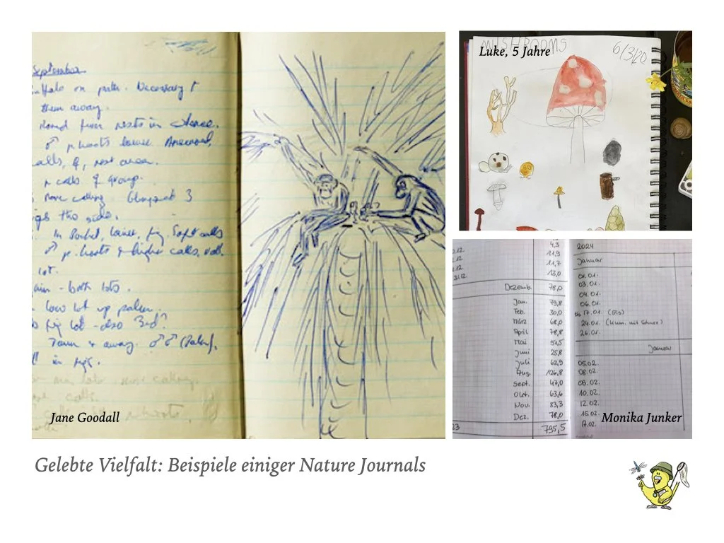 VHS Vortrag Nature Journaling.004.jpeg