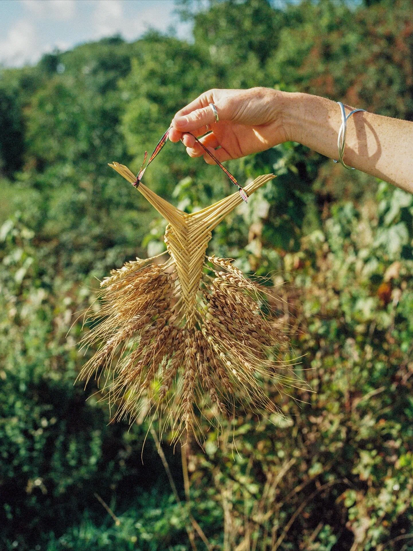 Caseg pen fedi | Harvest tokens 
Diolch yn fawr @erinmacairt 📷 @rhi_ellis