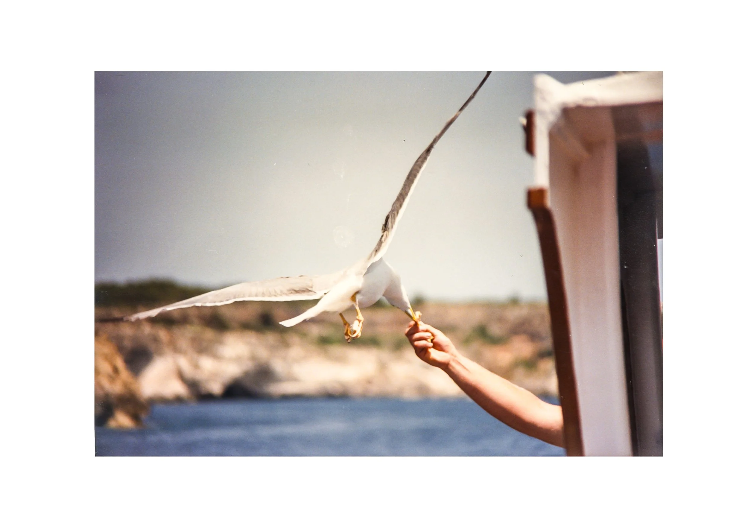 Things we divided78.jpg