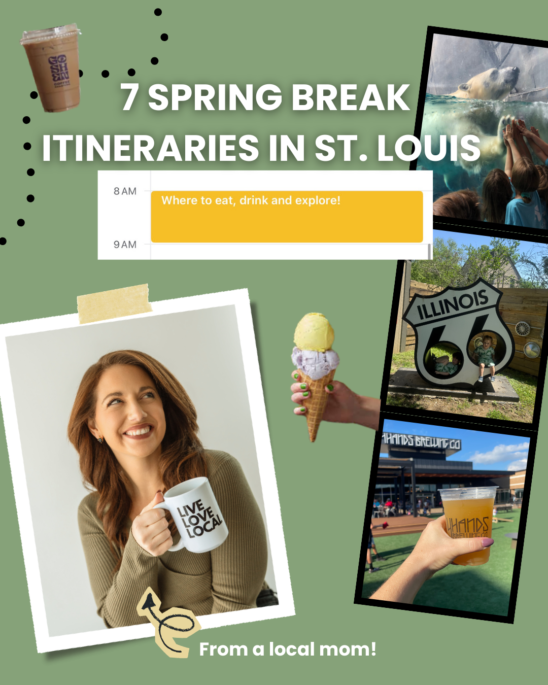 St Louis itinerary including zoo, museums and Dogtown restaurants
