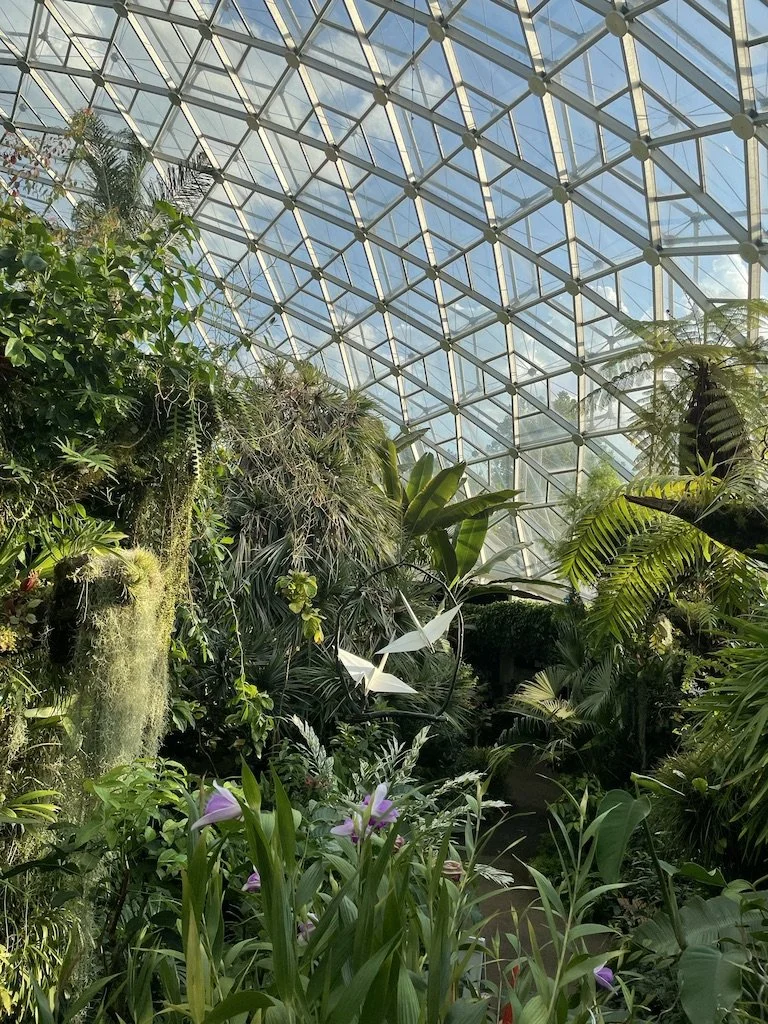 10 St. Louis Places That Make You Forget It’s Cold Outside