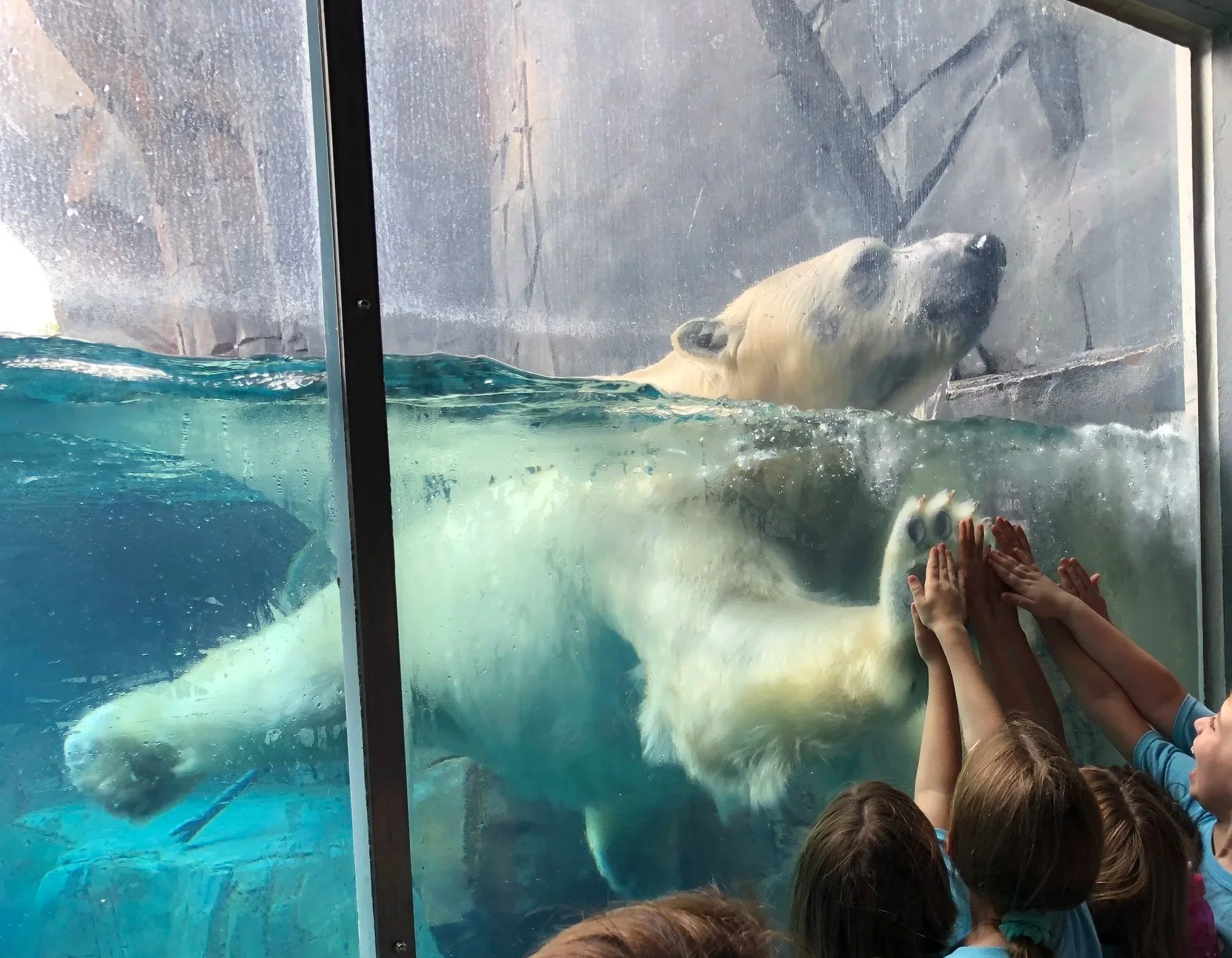 Spring Break in St. Louis: The Ultimate Family-Friendly Guide