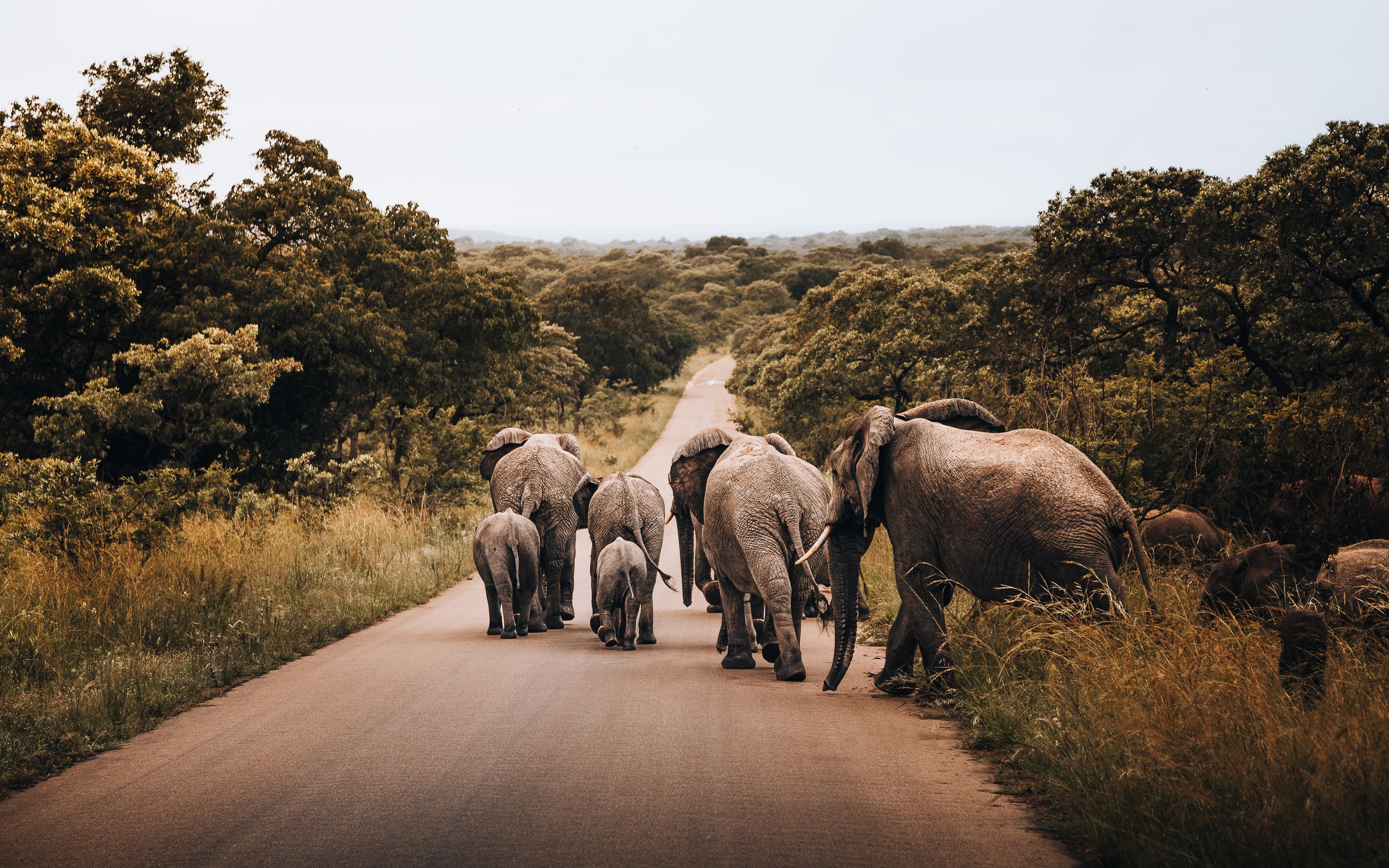 5. The Get Together-min.jpg