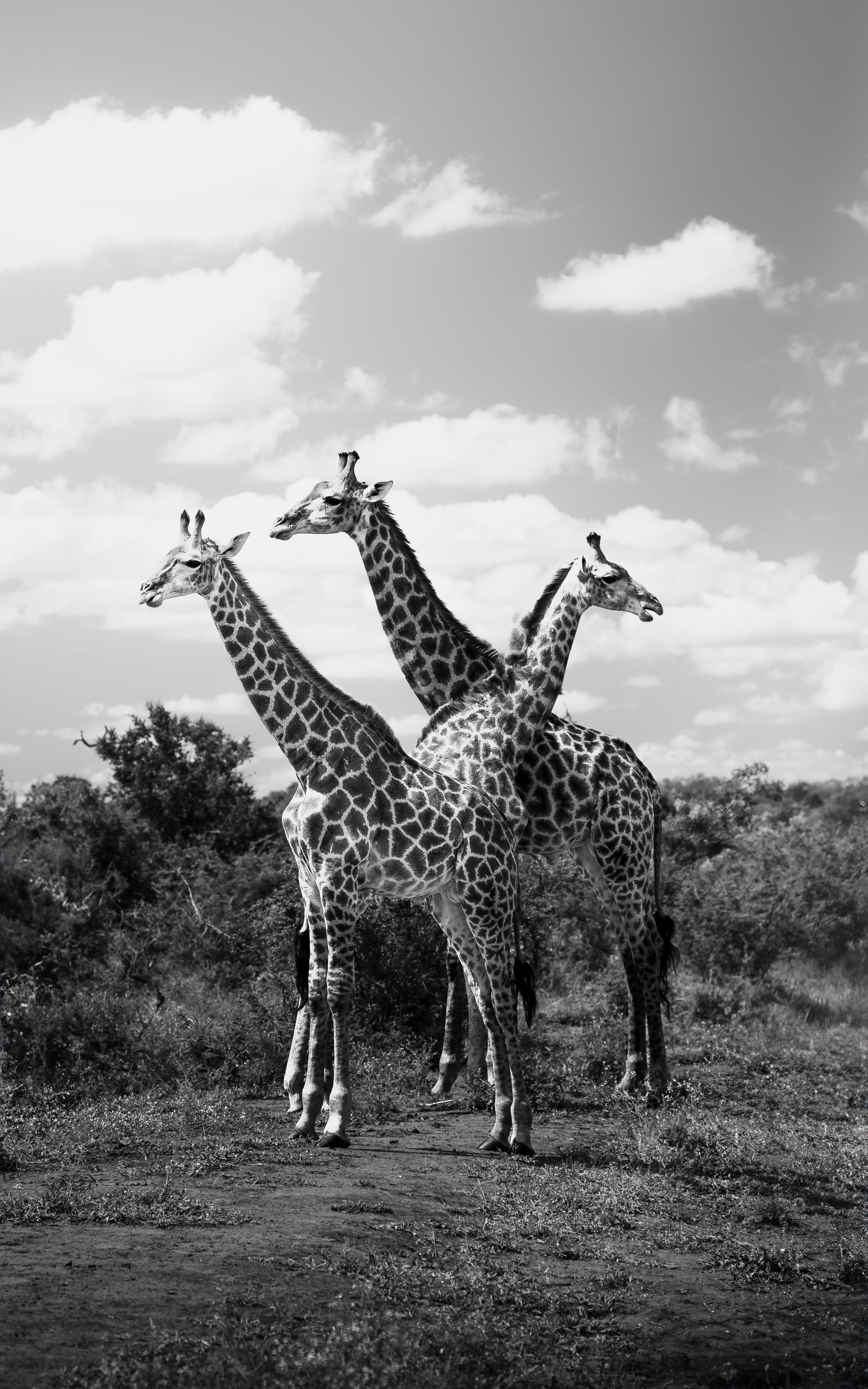 Staying Together.jpg