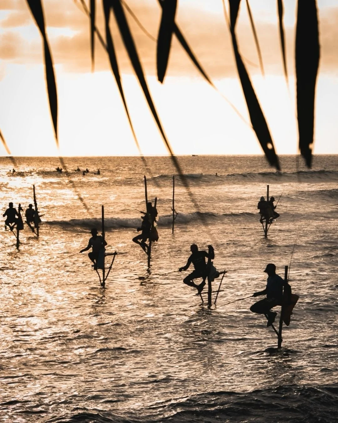 At the ocean&rsquo;s edge, they were waiting, perched in perfect stillness on wooden stilts, their silhouettes etched against a dramatic sunrise.

There was no urgency here; only patience and quiet presence.