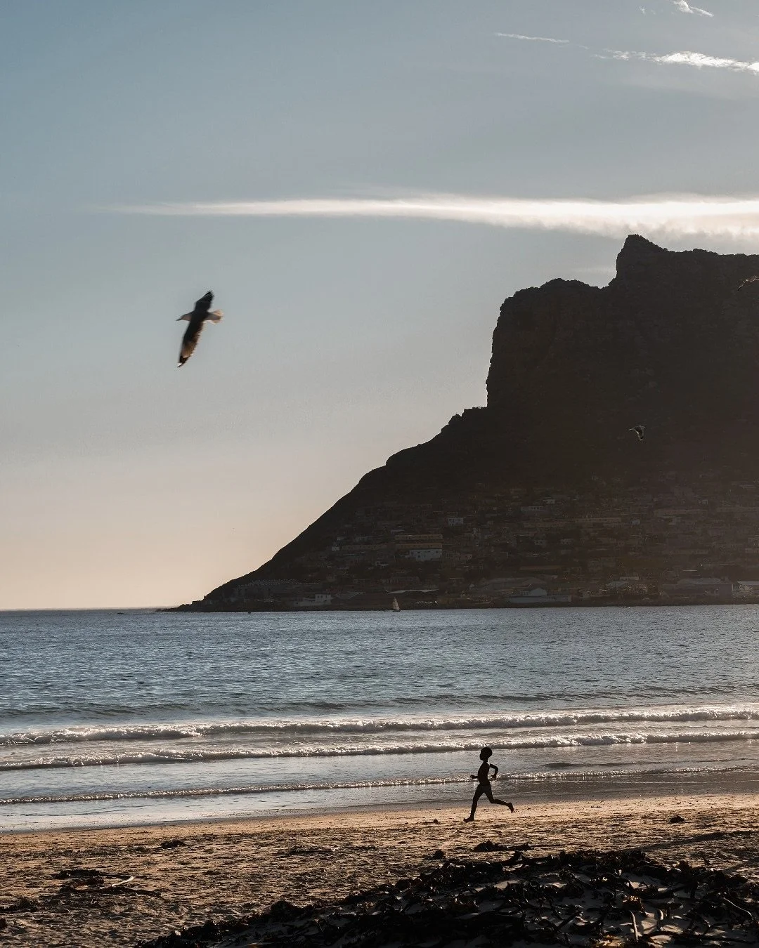 Captured in the late afternoon light of Hout Bay, South Africa. 

One of those rare moments when time slows and the image reveals itself.

The word that arrived: solitude.

This series holds that feeling: being wholly okay with being alone. 

A quiet