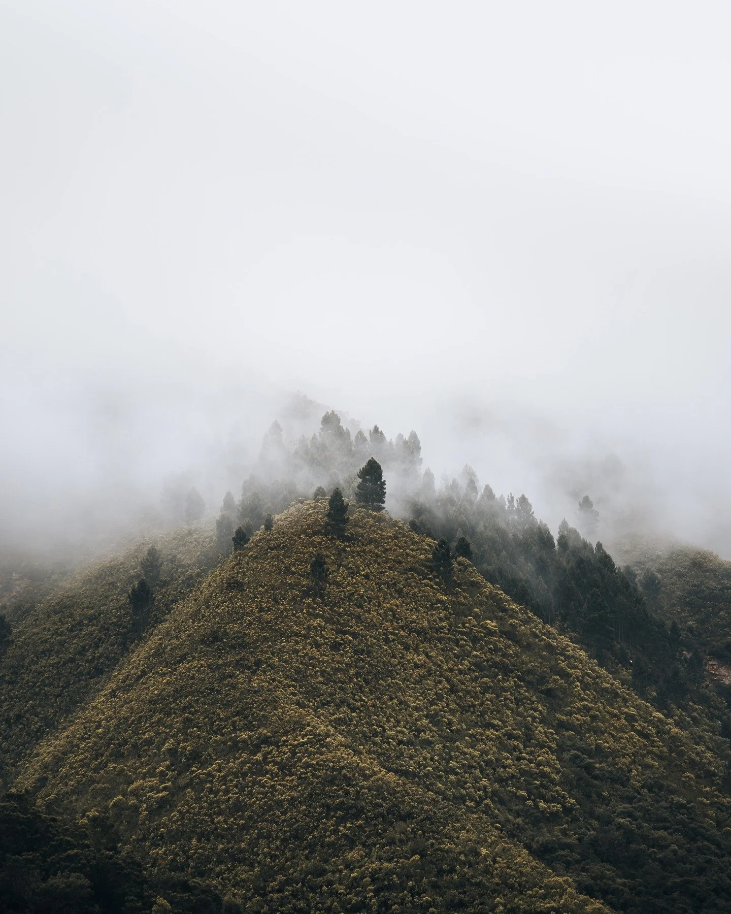 There is something about a mountain disappearing into mist.

It makes you pause.
It makes you wonder.

What has happened here over time.
How many people have stood still for this same view.
How many passing clouds, changing seasons, quiet unfoldings 