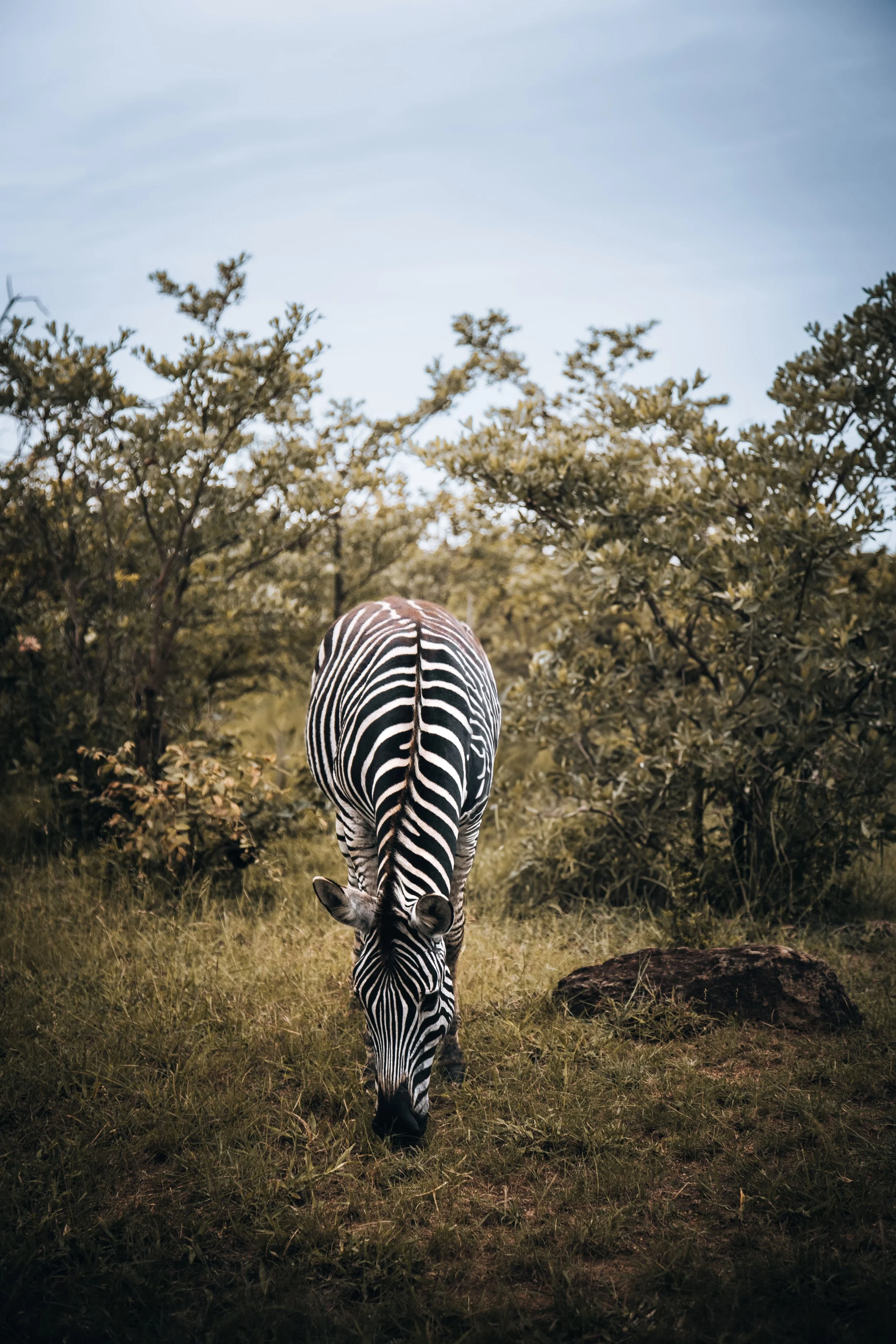 2. Stand Alone -min.jpg