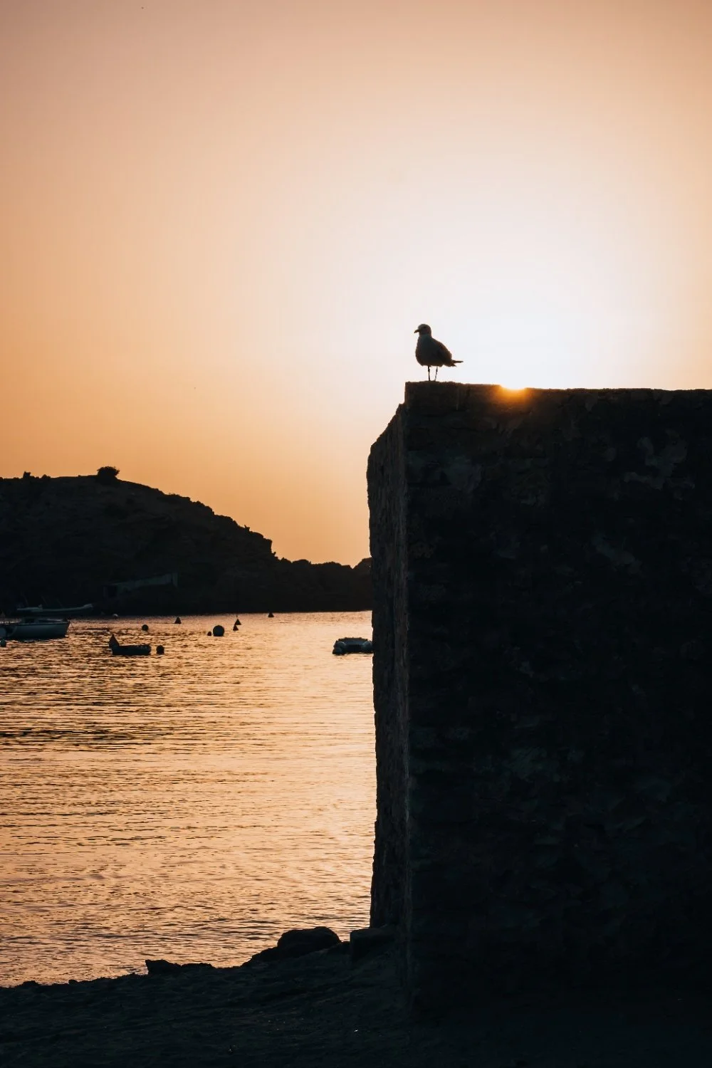 2. A Birds View.jpeg