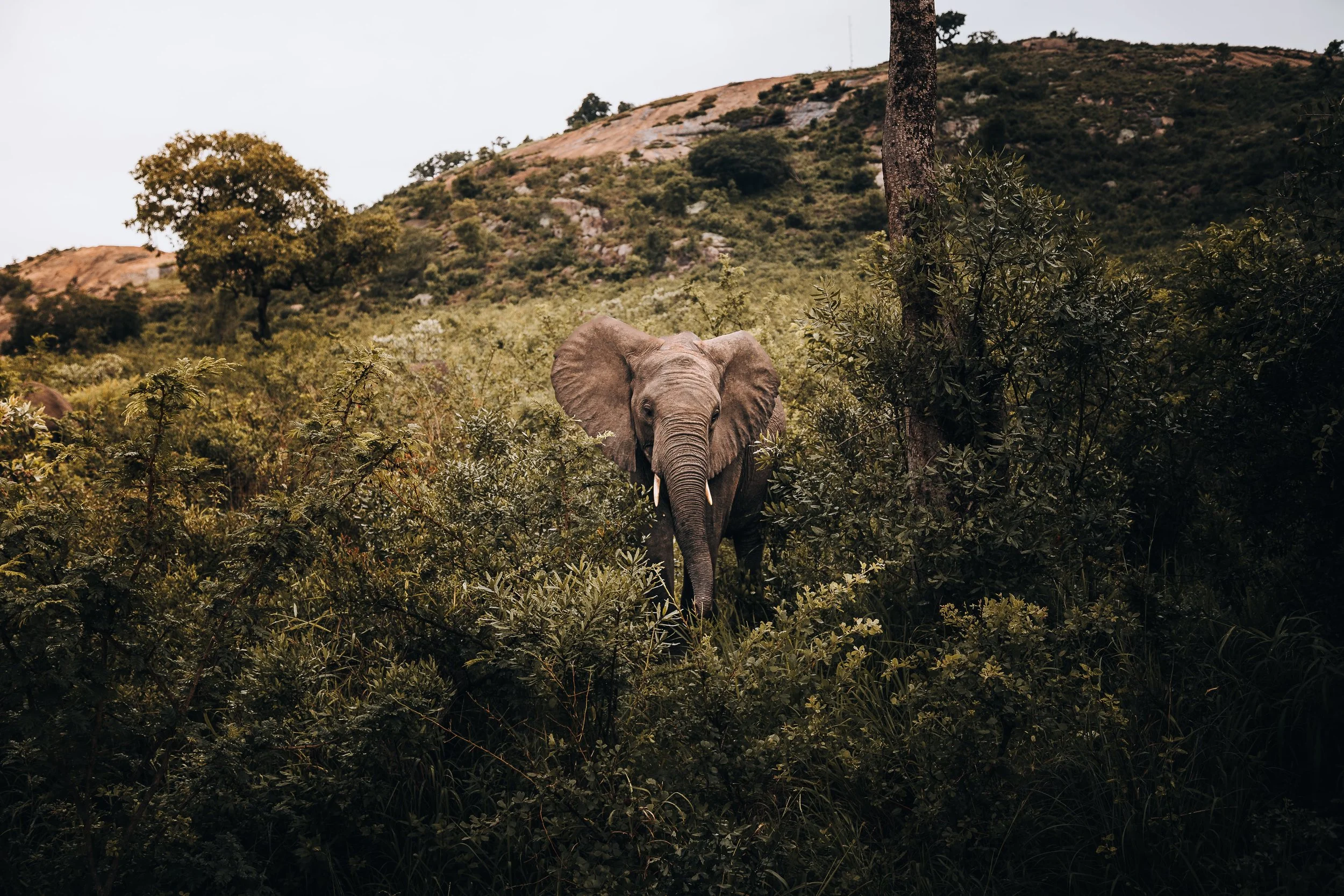 4. In My World-min.jpg