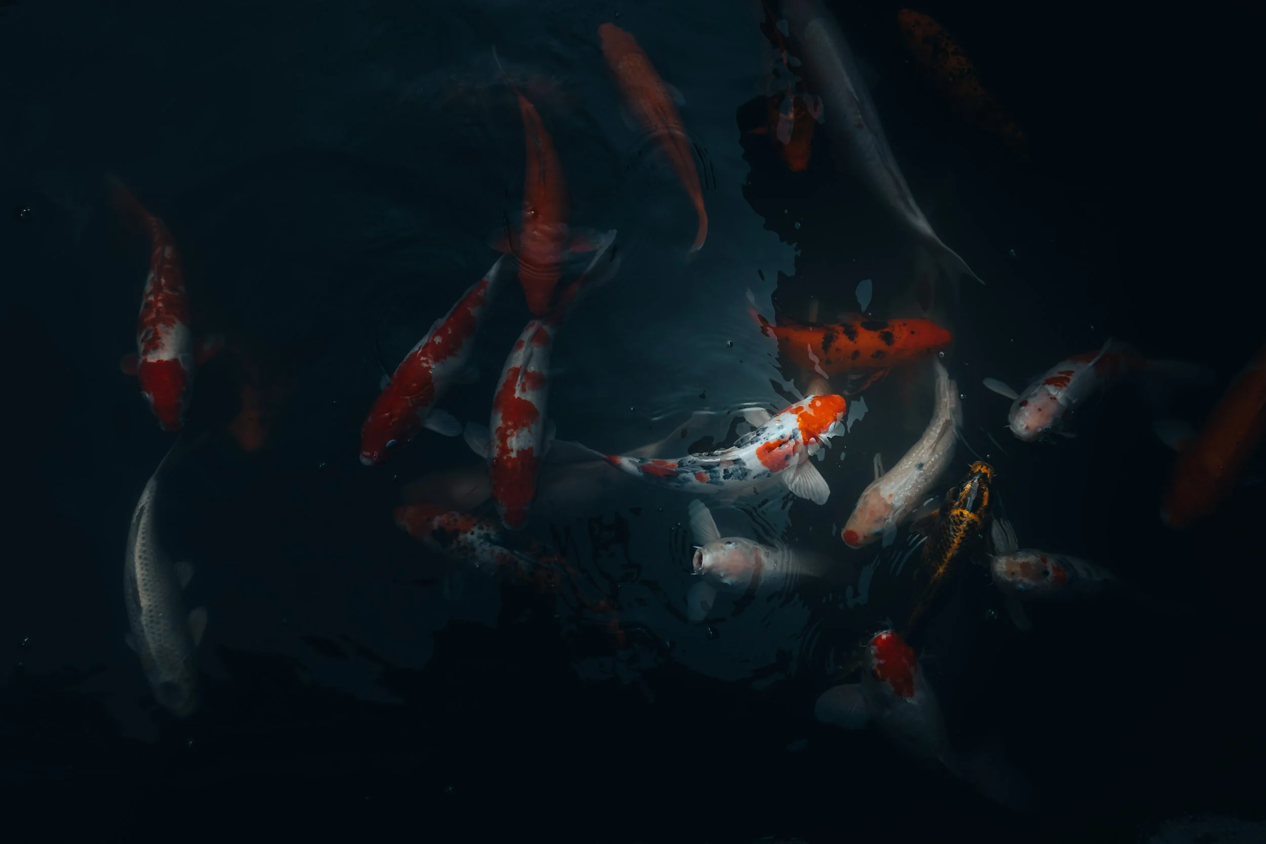 Below the Surface