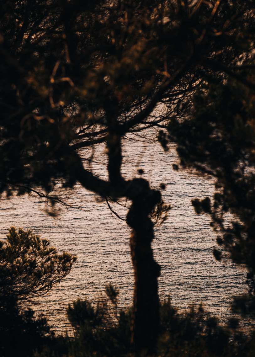 Layered Stillness.png