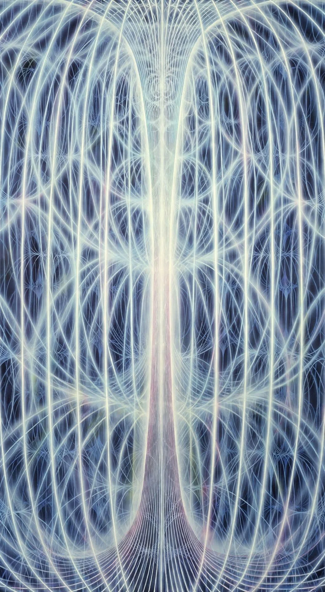 𝗛𝗼𝘄 𝗪𝗲 𝗙𝗼𝗿𝗴𝗼𝘁
