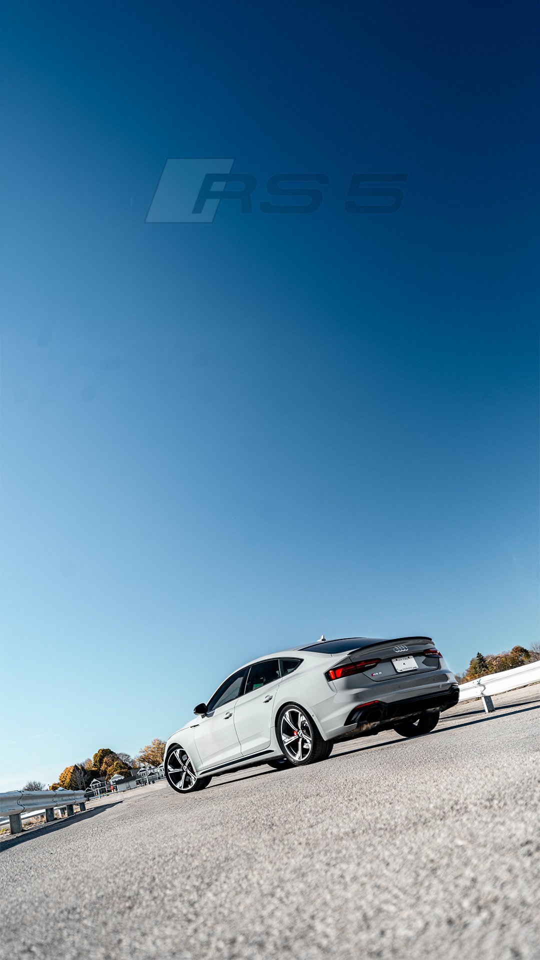 Rs5_1.jpg