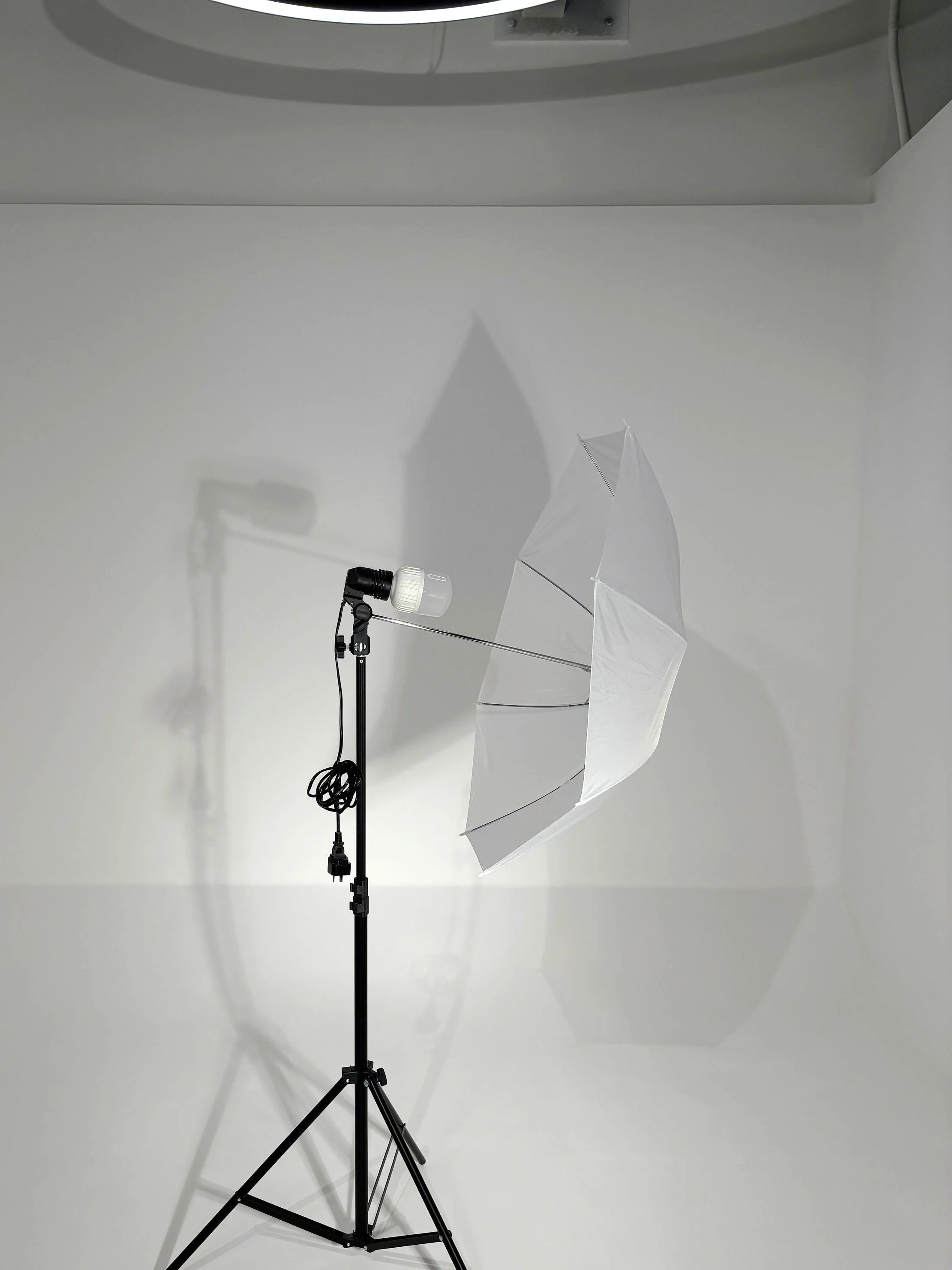 NEEWER Continuous Light With Umbrella.jpg
