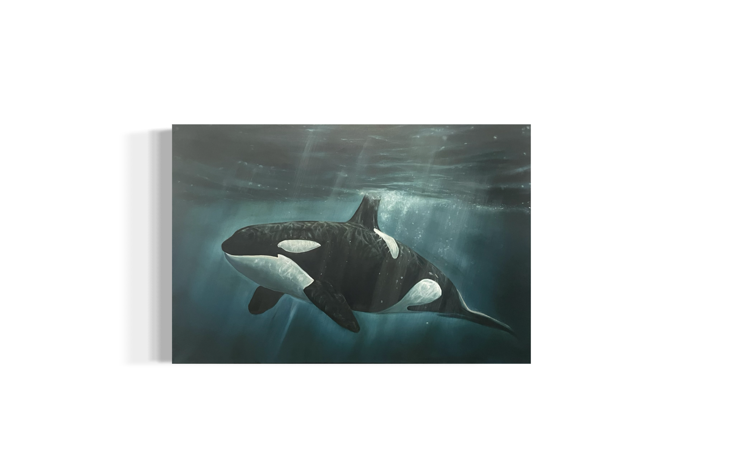 IMG_3089.png