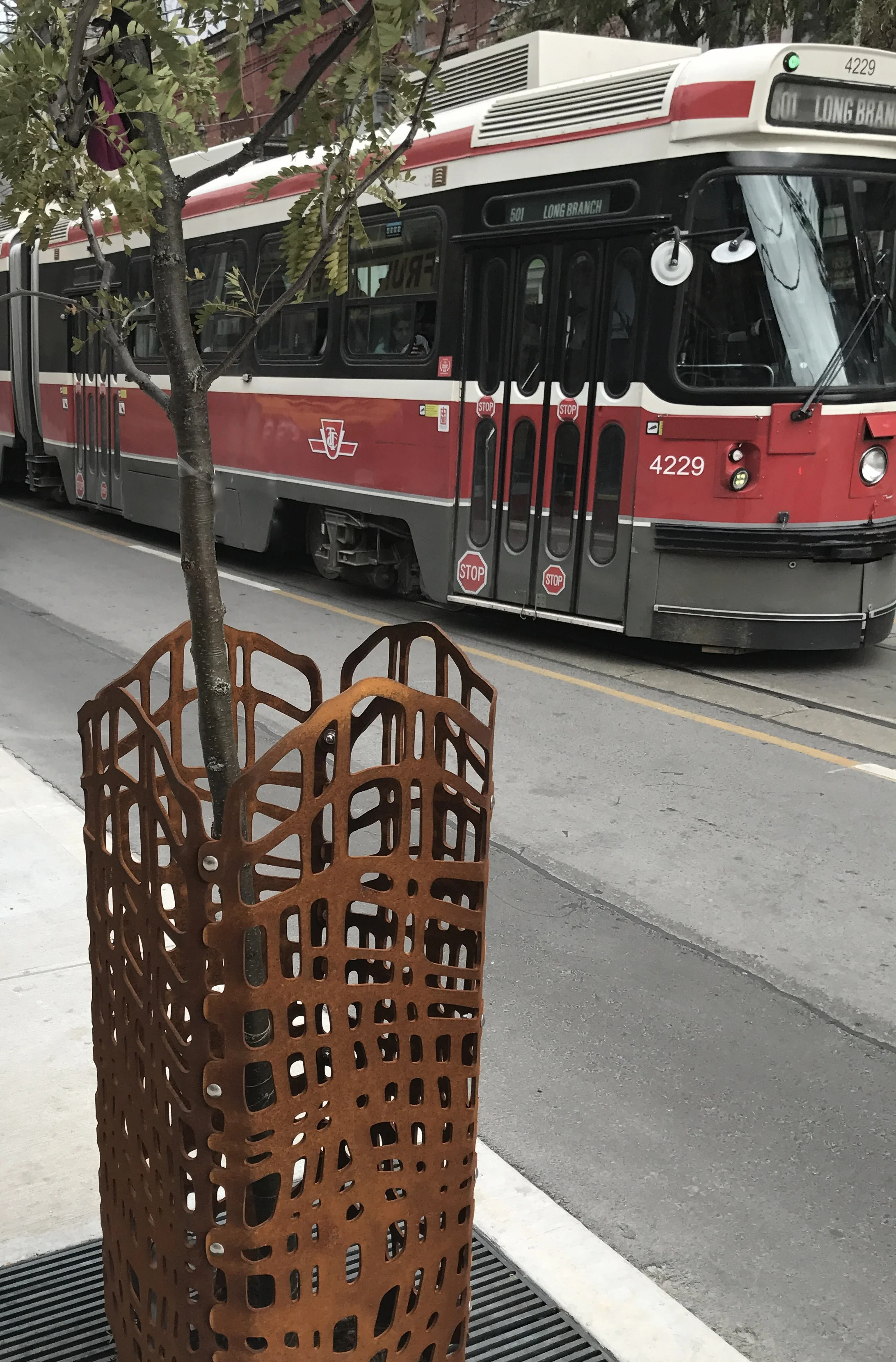 streetcar treeguard.jpg