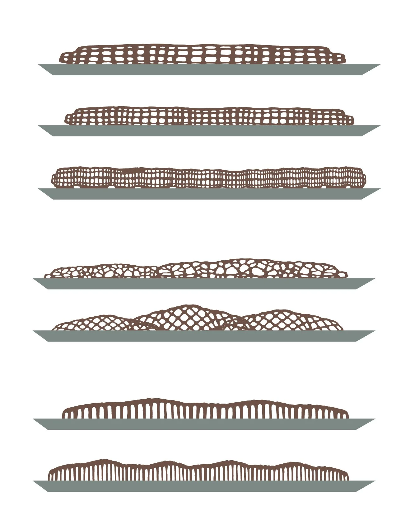 edges elevations light.jpg