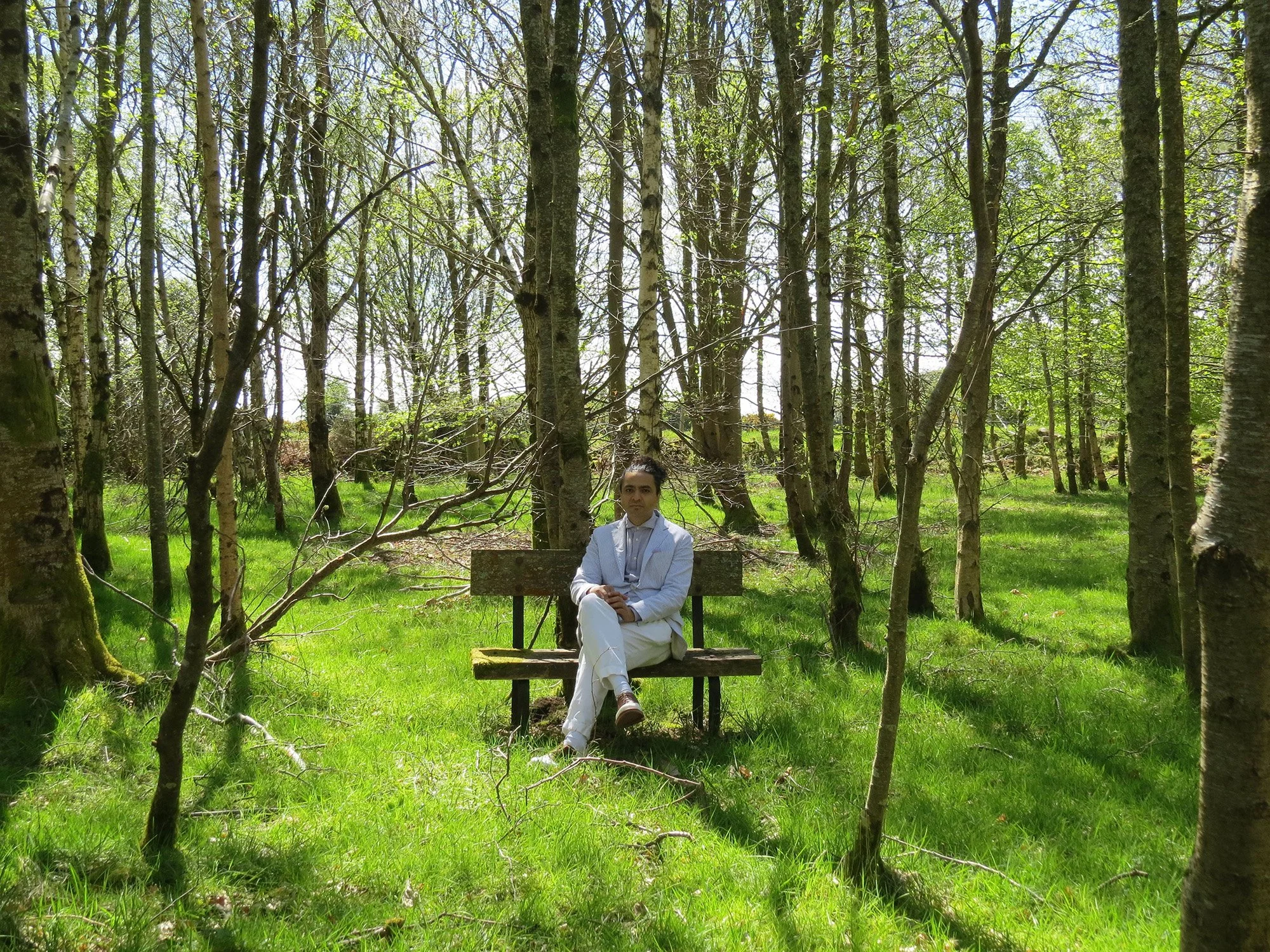 Sitting in the Forest