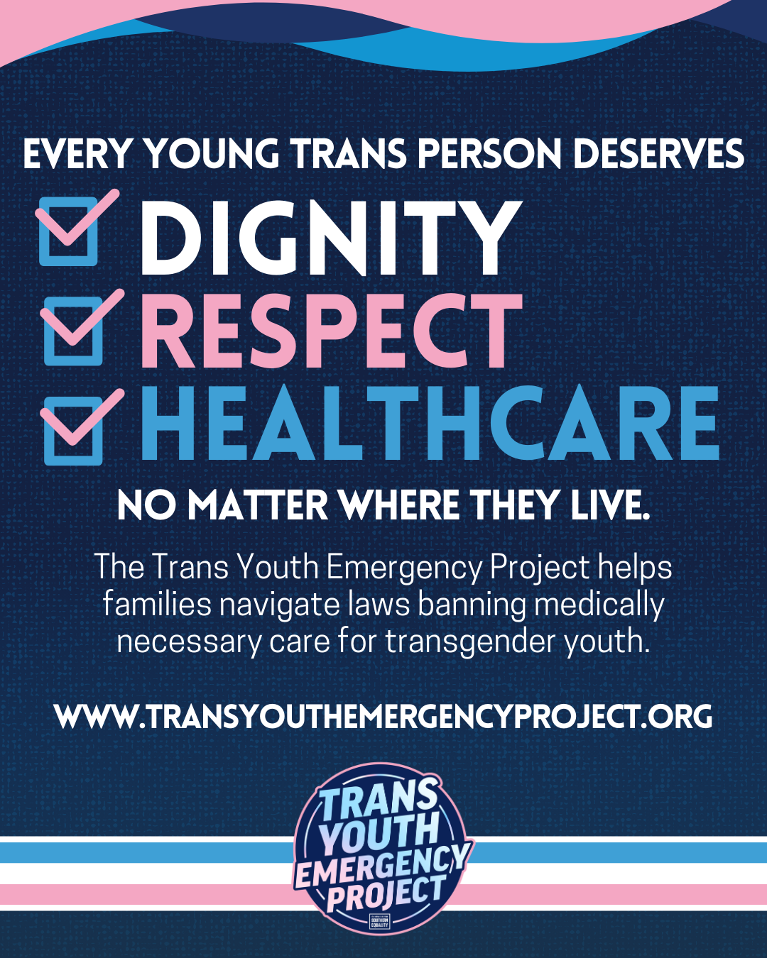 Press Release: As New Hampshire Bans Gender-Affirming Care for Youth, the Trans Youth Emergency Project is Ready to Provide Direct Support for Families