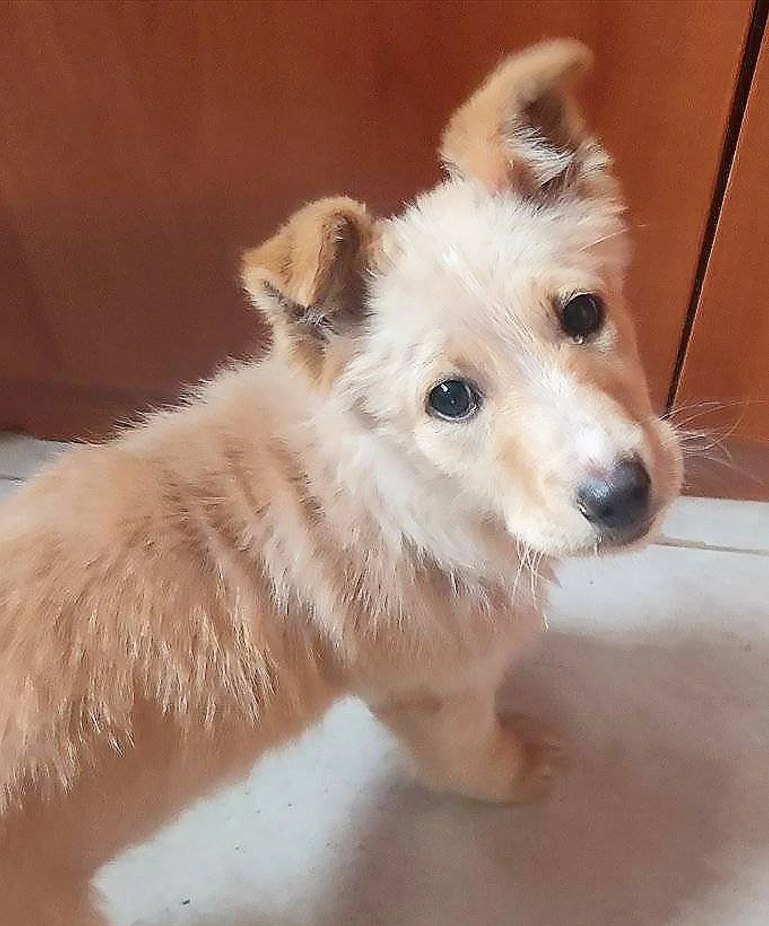 Elsa-Peluce_4.jpg