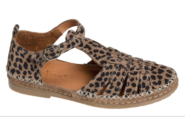 Capture d'écran 2026-03-21 111812.png