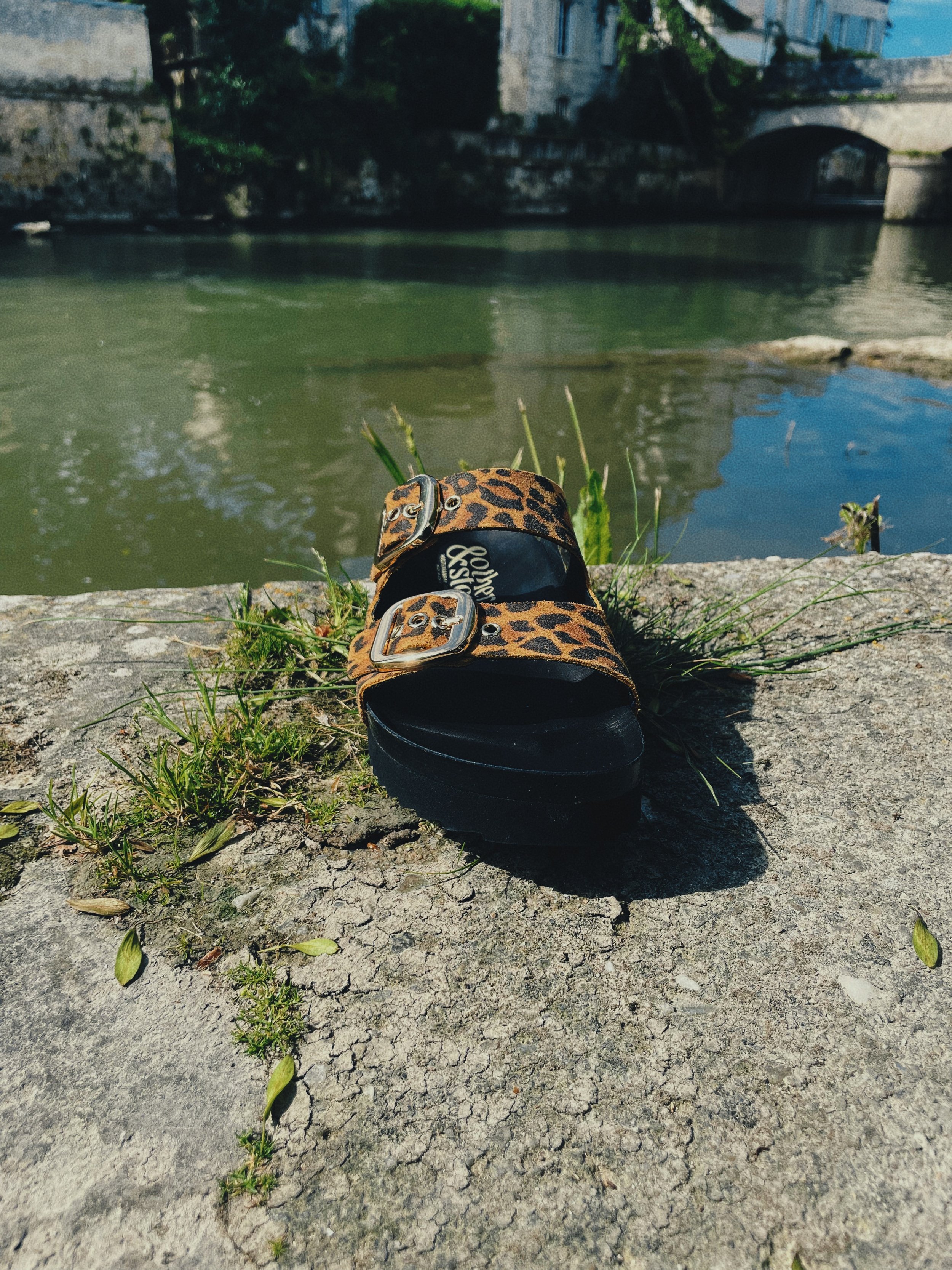 IMG_1881.jpeg