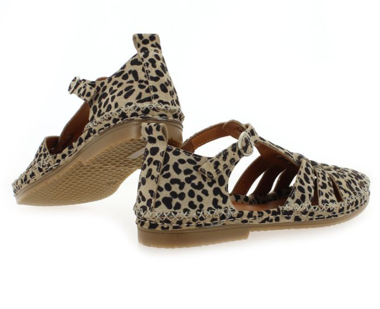 Capture d'écran 2026-03-21 125753.png