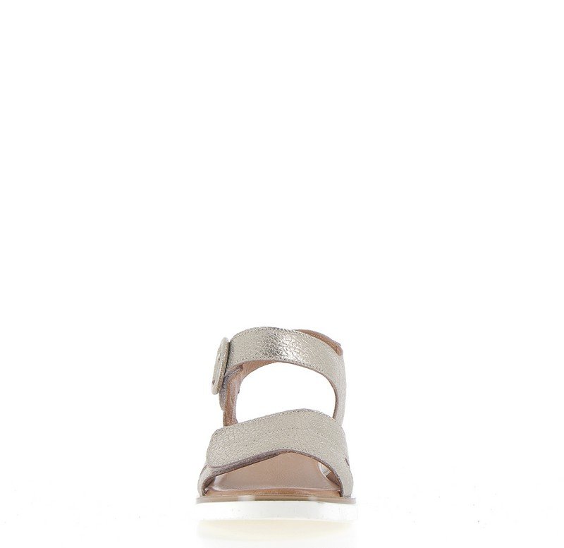 v3057i-champagne___p3.jpg
